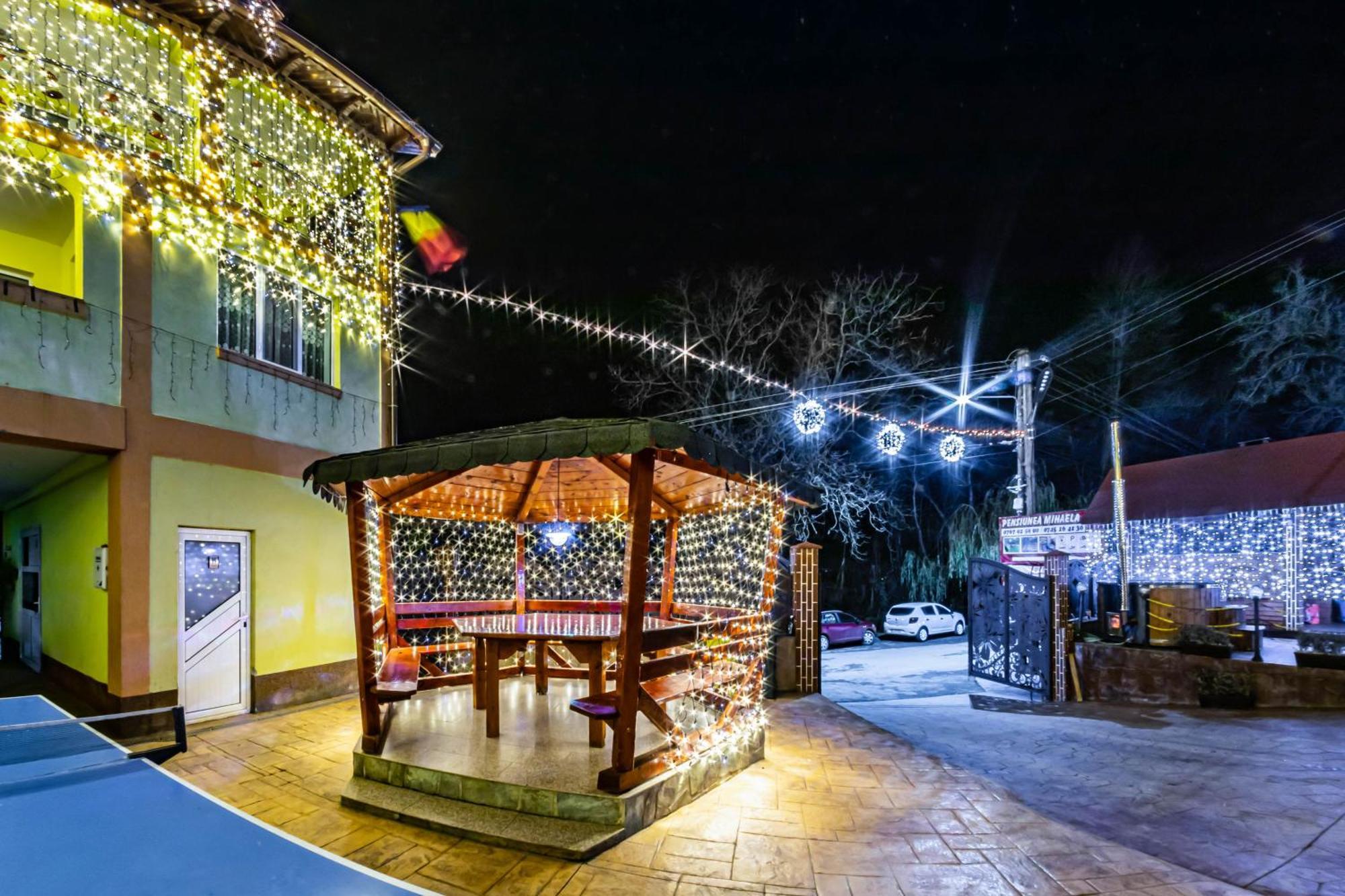 Pensiunea Mihaela-Transalpina Novaci-Străini Buitenkant foto