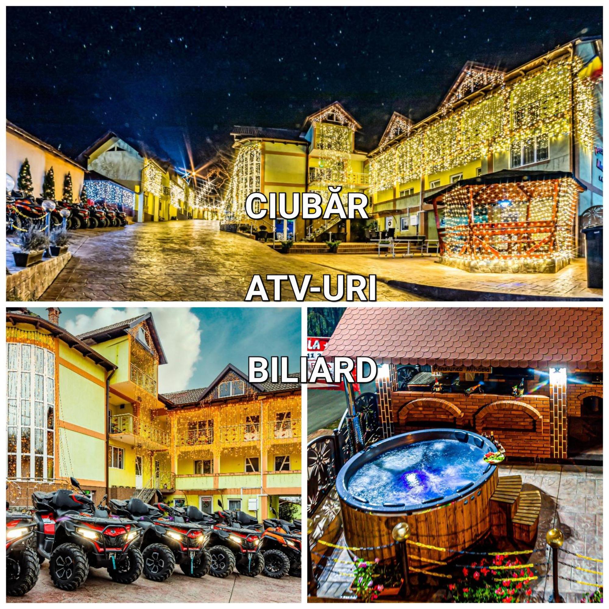 Pensiunea Mihaela-Transalpina Novaci-Străini Buitenkant foto