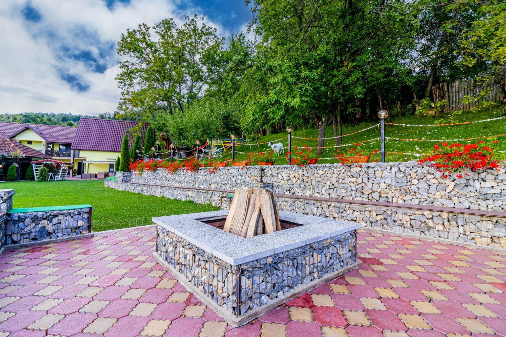 Pensiunea Mihaela-Transalpina Novaci-Străini Buitenkant foto